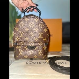 Louis Vuitton Palm Springs mini